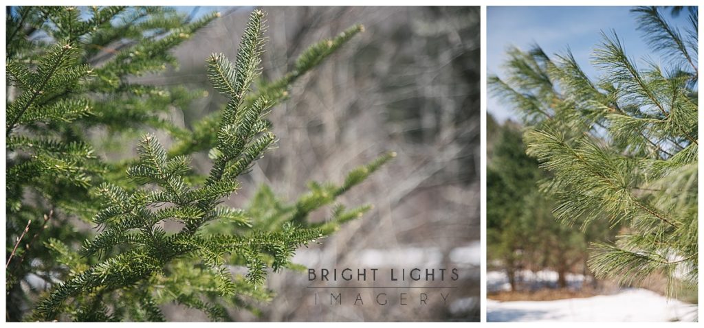 Vermont Destination Photographer. April in Vermont, New England in Spring, Snow, Bright Lights Imagery, Vermont Wedding Photographer